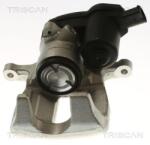 TRISCAN Etrier frana TRISCAN 8175 29260 (8175 29260) - automobilus