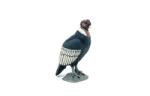 Papo Figurina Papo Wild animal kingdom - Condor (Multicolor) Figurina
