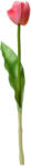 Clayre & Eef Set 3 Lalele artificiale roz verde Rosa 4x4x32 cm (6PL0313deco)
