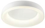 Redo Group Dip fehér LED mennyezeti lámpa (RED-01-3941) LED 1 izzós IP20