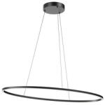 Redo Group Leo fekete LED függesztett lámpa (RED-01-3339) LED 1 izzós IP20