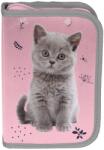 PASO Penar școlar Paso Cat - Pisică gri, cu 1 fermoar (PP24CT-P001BW) Penar