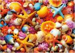 Educa - Puzzle Colaj de scoici - 1 000 piese Puzzle