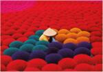Educa - Puzzle Vietnam - 1 000 piese Puzzle