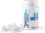VETAPRO Supliment pentru caini pisici Vetapro Complex 3 KAL + D+ PHOS 60 tab