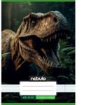 Nebulo Nebulo: T-Rex mintás 4. osztályos vonalas füzet A/5 21-32 (VO4-2-VM-A5-22346322) - jatekshop