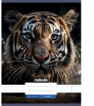 Nebulo Nebulo: Tigris mintás vonalas füzet 81-32 A/4 (VO-AM-A4-12348046) - jatekshop