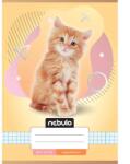 Nebulo Nebulo: Cicás mintás kockás füzet A/5 27-32 (NR-AM-A5-12347049)