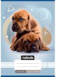 Nebulo Nebulo: Két kutya mintás 4. osztályos vonalas füzet A/5 21-32 (VO4-AM-A5-12346912) - jatekshop