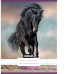 Nebulo Nebulo: Ló a homokban vonalas füzet 81-32 A/4 (VO-LD-A4-12347377) - jatekshop