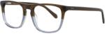 Fossil FOS 7191 3LG 53 Ochelari de citit