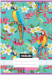 Nebulo Nebulo: Tűzött 3. osztályos papagáj mintás vonalas füzet 12-32 A/5 (VO3-CM-A5-12345885) - jatekshop