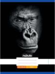 Nebulo Nebulo: Tűzött sima gorilla mintás füzet 80-32 A/4 (SI-AM-A4-12348251)