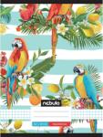 Nebulo Nebulo: Tűzött kockás csíkos papagáj mintás füzet 87-32 A/4 (NR-LD-A4-12347445) - jatekshop