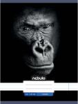 Nebulo Nebulo: Tűzött vonalas gorilla mintás füzet 81-32 A/4 (VO-AM-A4-12348015) - jatekshop