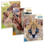 Ars Una Füzet kockás ARS UNA A/4 40 lapos Extra kapcsos Icons of the Wild (53124920) - robbitairodaszer