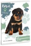 Ars Una Füzet kockás ARS UNA A/5 32 lapos 27-32 Bátor mancsok-Rottweiler (53634993) - robbitairodaszer