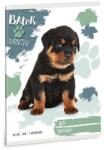 Ars Una Füzet vonalas ARS UNA A/5 32 lapos 14-32 1. osztályos Bátor mancsok-Rottweiler (53584991) - robbitairodaszer