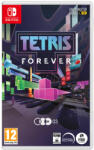 Digital Eclipse Tetris Forever (Switch)