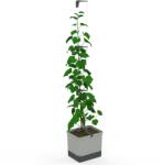 Gusta Garden CURT CUCUMBER önöntözős, világosszürke (GG-140C10)