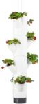 Gusta Garden SISSI STRAWBERRY függő önöntöző virágcserép, 4 szintes, fehér (GG-100538)