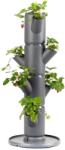 Gusta Garden SISSI STRAWBERRY starter 4 szintes önöntöző virágcserép, antracit (GG-101569)