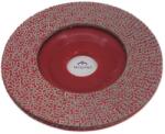Raimondi 274FDLAM200 Disc diamantat lamelar slefuire placi granulatie 200 Ø115mm (RA274FDLAM200) Disc de taiere