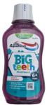 Aquafresh big teeth fruity flavour apa de gura 6+ 300ml