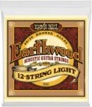  Ernie Ball Earthwood Bronze 12 String Light 9-46 - jumbomusic