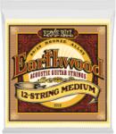  Ernie Ball Earthwood Bronze 12 String Medium 11-52
