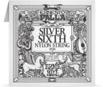  Ernie Ball Classical Single Silver E6 String