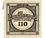  Ernie Ball Earthwood Bass Single 110 - jumbomusic
