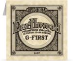  Ernie Ball Earthwood Bass Single 045 - jumbomusic