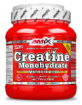 Amix Nutrition - Creatine Monohydrate Powder 300g / 500g / 750g / 1000g - 500g - Kreatin monohidrát - flashprotein