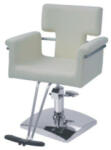 Total Pro Beauty Scaun profesional pentru coafura Berlin