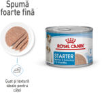 Royal Canin Pediatric Starter Wet 12x195 g
