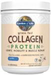 Garden of Life Grass Fed Collagen Protein 560 g