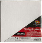 Pigna Panza pentru pictura pe sasiu 20 x 20 cm sf art pigna (MCPPL20X20) Panza pictura