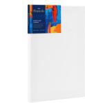 Deli Panza pentru pictura pe sasiu 20*30cm deli (DLEC279-5) Panza pictura