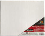 Pigna Panza pentru pictura pe sasiu 24 x 30 cm sf art pigna (MCPPL24X30) Panza pictura
