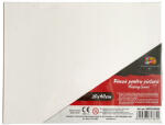 Pigna Panza pentru pictura pe sasiu 30 x 40 cm sf art pigna (MCPPL30X40) Panza pictura