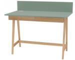 Ragaba Zöld lakkozott munkaasztal RAGABA LUKA 110 x 50 cm (NRGB_WDLUK317_DRAW)
