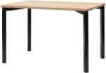 Ragaba Fából készült étkezőasztal RAGABA TRIVENTI II. 120 x 80 cm, fekete talapzattal (RAGABATT22R)