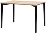 Ragaba Fából készült étkezőasztal RAGABA TRIVENTI 120 x 80 cm, fekete talapzattal (RAGABATT22)
