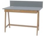 Ragaba Szürke lakkozott munkaasztal RAGABA LUKA 110 x 50 cm (RGB_WDLUK36_DRAW)