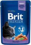 Brit Premium Cat Cod Fish Tőkehal 100g