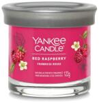 Yankee Candle Red Raspberry Signature Tumbler Kicsi