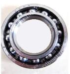 NSK B 17-107t1xddg3 (nsk)