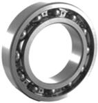 MGCS-G 16015 (mgcs)