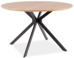 SIGNAL MEBLE Étkezőasztal ASTER | tölgyfa 120 cm (ASTERDCFI120)